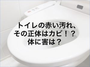 トイレの赤い汚れ、その正体は赤カビ！？体に害は？
